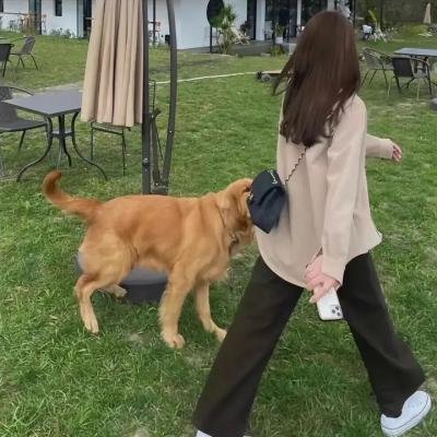 佩姬苏要出嫁